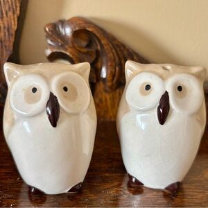 Vintage Whimsical Tan Ivory Black Hand-painted Owl Salt & Pepper Shakers